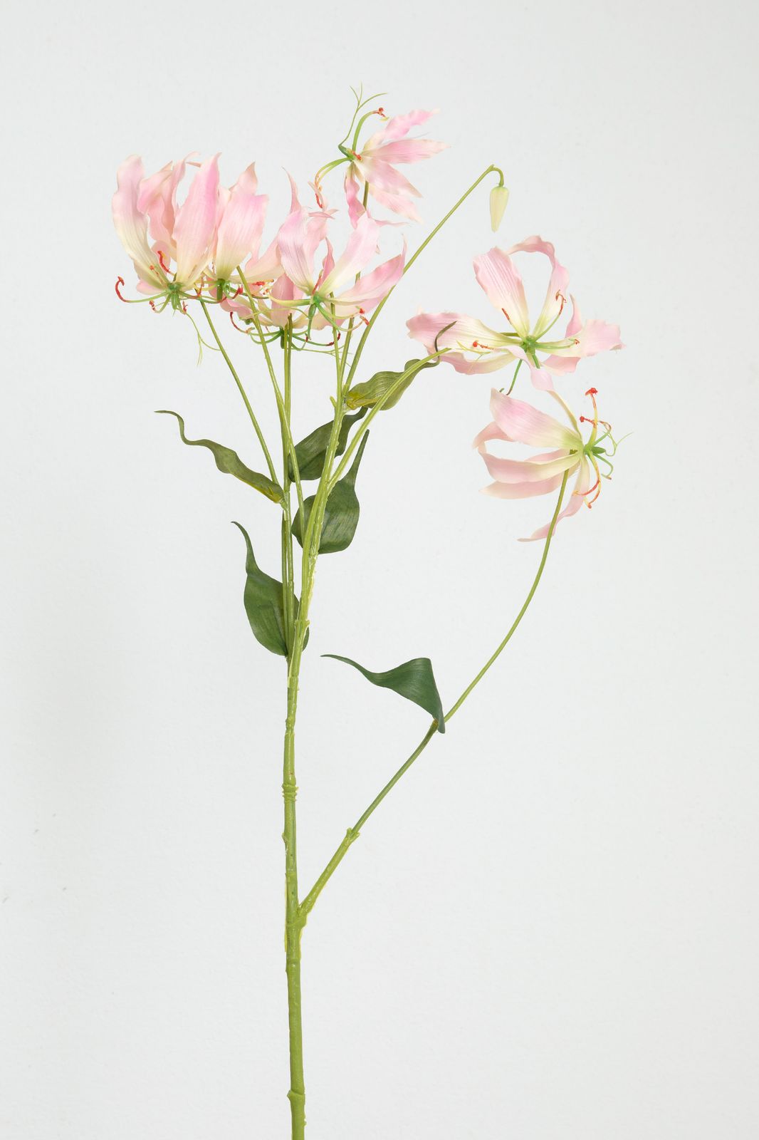 Hotbird ochiq porno kanallari