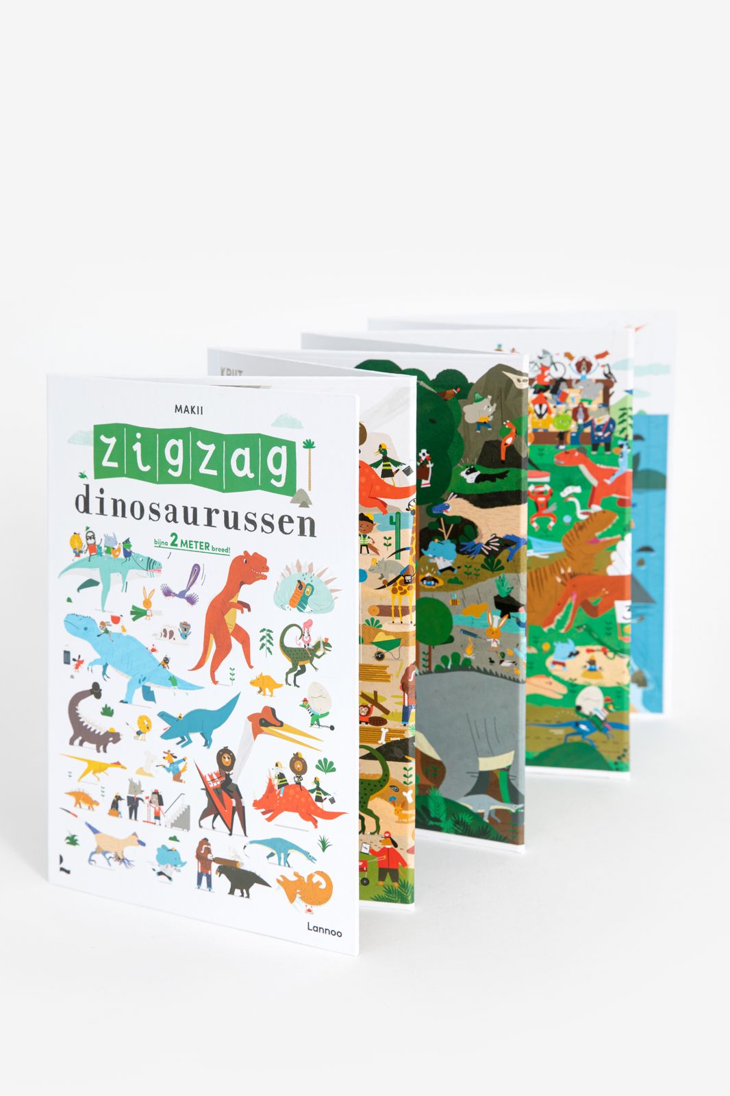 Boek Zigzag Dinosaurussen - Homeland | Sissy-Boy