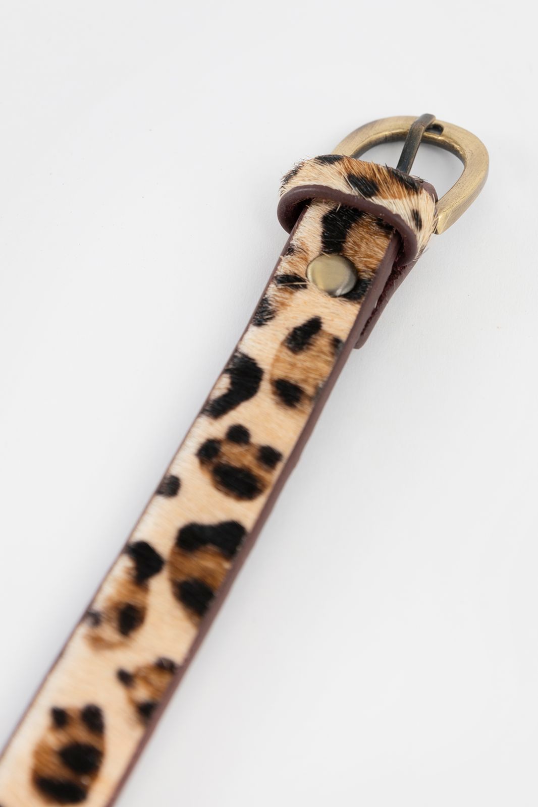 Ceinture avec imprimé léopard - marron